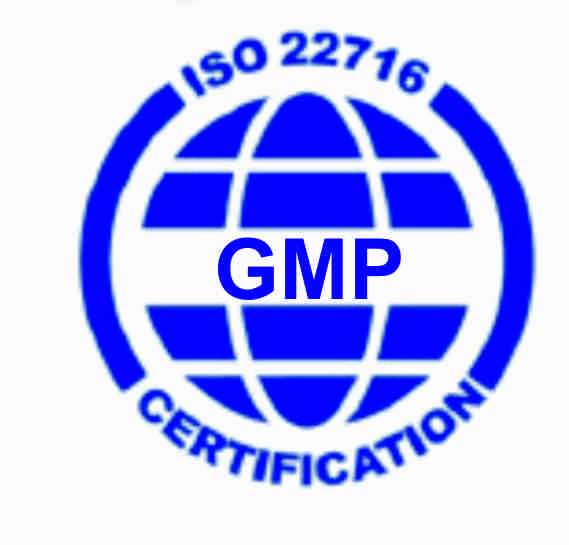 GMP Good Manufacturing Practice 